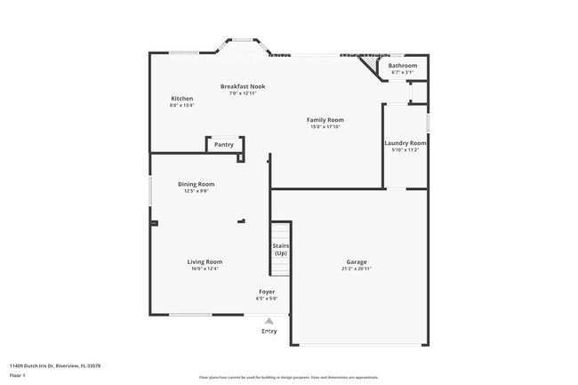 11409 Dutch Iris Dr in Riverview, FL - Building Photo - Building Photo