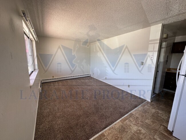 702 Downey St in Laramie, WY - Building Photo - Building Photo