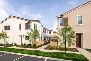 Tricon Elk Grove in Elk Grove, CA - Building Photo