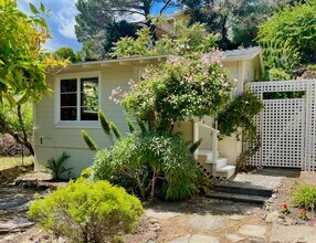 14 Belle Ave in San Rafael, CA - Building Photo - Building Photo