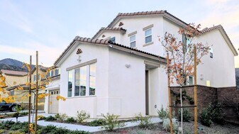 26231 Bergen Ct in Temescal Valley, CA - Building Photo