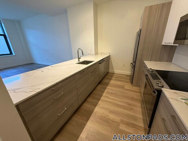 1079 Commonwealth Ave in Boston, MA - Building Photo - Building Photo