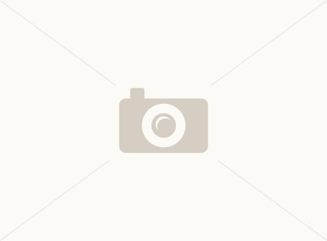 1859 N Morris in Mesa, AZ - Building Photo - Building Photo