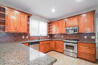 21902 Willow Shadows Dr in Tomball, TX - Building Photo - Building Photo