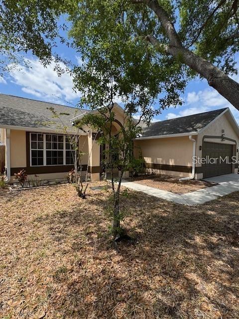 11301 Cypress Leaf Dr in Orlando, FL - Building Photo - Building Photo