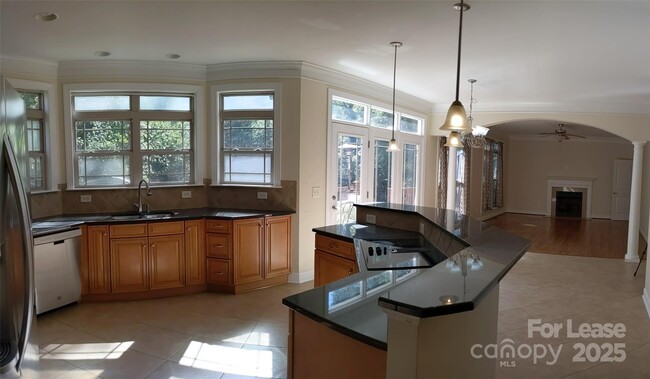 743 Irish Green Dr in Lake Wylie, SC - Building Photo - Building Photo