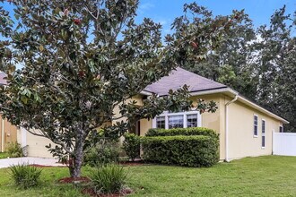 741 Indigo Run Dr in Jacksonville, FL - Building Photo - Building Photo