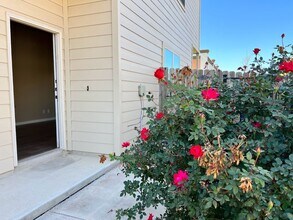 2207-2209-2209 Avery Village in New Braunfels, TX - Building Photo - Building Photo