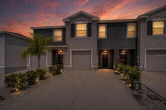 2928 Beluga Bay Dr in Odessa, FL - Building Photo - Building Photo