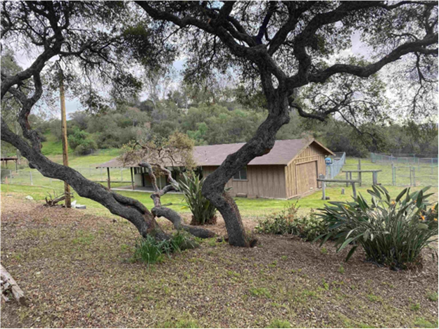 2737 Sarver Ln in San Marcos, CA - Building Photo - Building Photo