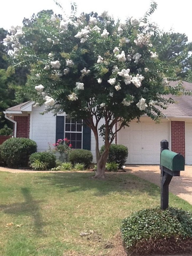 141 Kings Ridge Dr Rentals in Brandon, MS