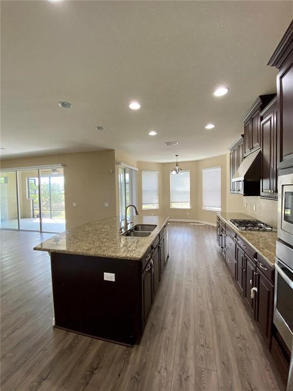 11606 Orange Palm Way in Tampa, FL - Building Photo - Building Photo