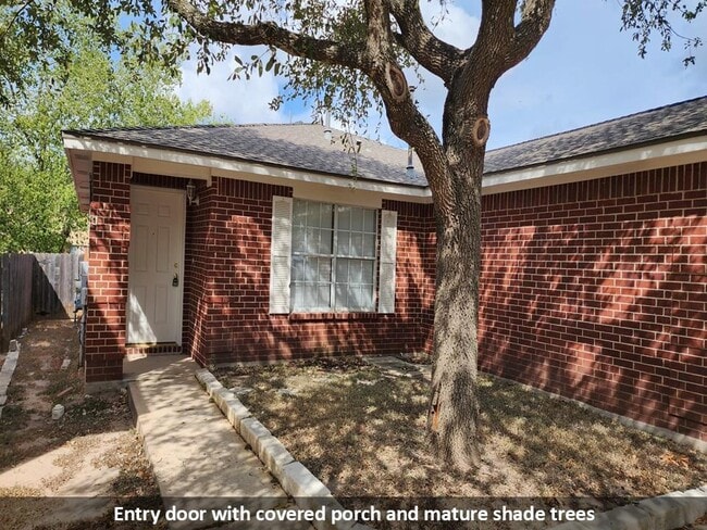 17204 Ardisia Dr in Pflugerville, TX - Building Photo - Building Photo