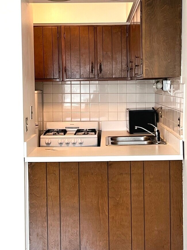 510 W Fullerton Pkwy in Chicago, IL - Building Photo - Building Photo