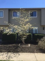 32 Cherrywood Terrace Apartments
