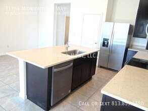 31364 Midnight Sun Wy in Wesley Chapel, FL - Building Photo - Building Photo