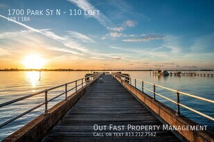 1700 Park St N in St. Petersburg, FL - Building Photo