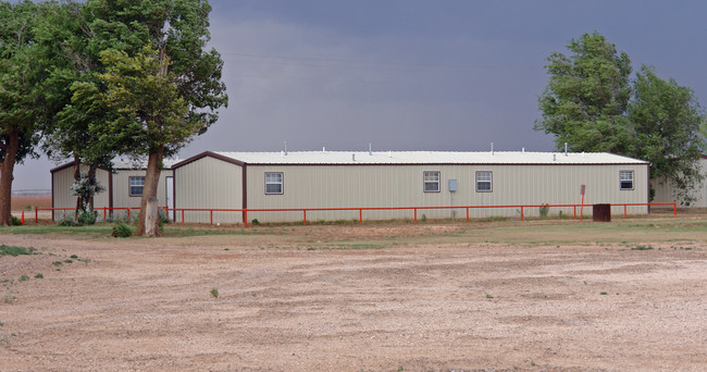 4165 Quail in Ropesville, TX - Building Photo - Building Photo