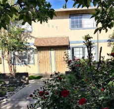 1007 Lloyd St in Lodi, CA - Foto de edificio - Building Photo