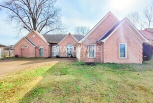 8301 Meadow Vale Dr in Memphis, TN - Building Photo
