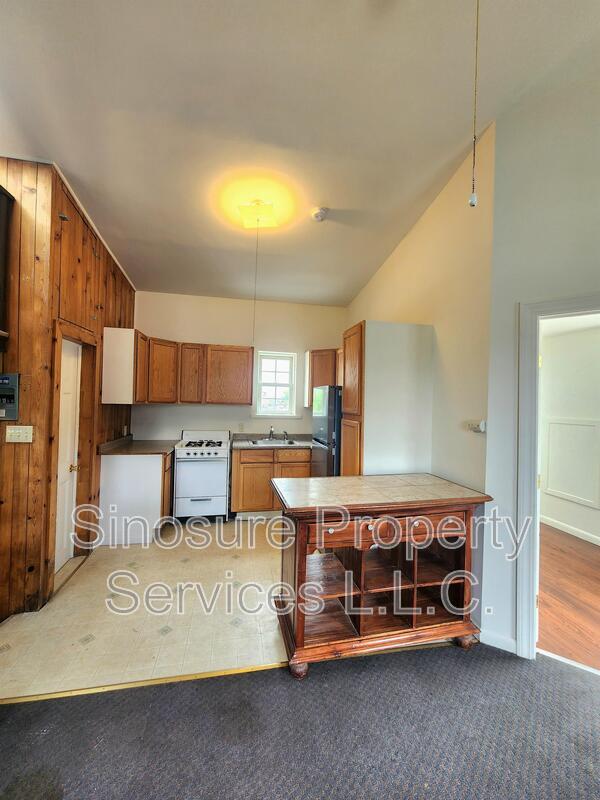 250 Lark St in Albany, NY - Building Photo - Building Photo