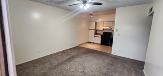 1041 N Mesa Dr in Mesa, AZ - Building Photo