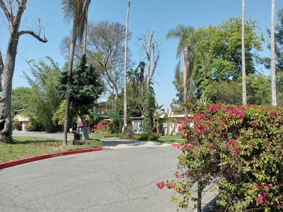 7318 Ventura Canyon Ave in Los Angeles, CA - Building Photo