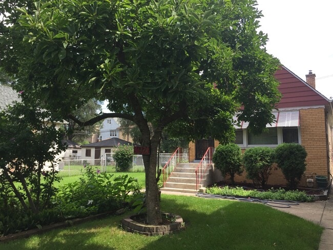 8021 S Coles Ave in Chicago, IL - Building Photo - Building Photo