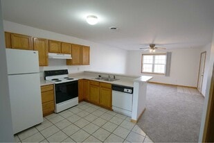 921 E Grand Ave in Carbondale, IL - Building Photo