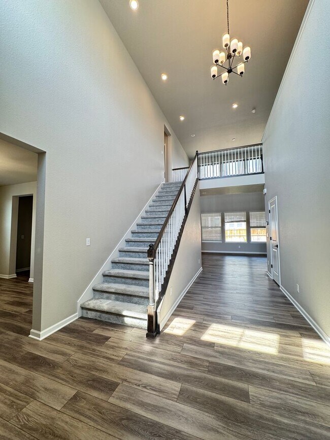 4431 Hickory Hl St in Timnath, CO - Building Photo - Building Photo