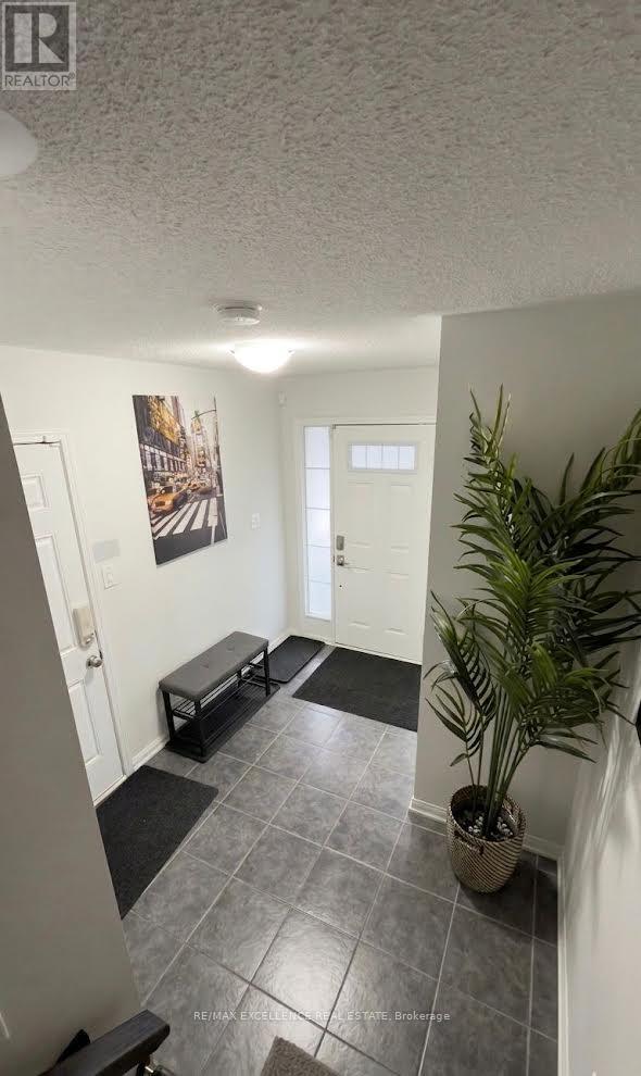 566 Attenborough Terrace in Milton, ON - Building Photo - Building Photo