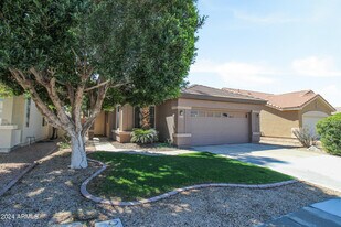 1375 W Musket Way in Chandler, AZ - Building Photo