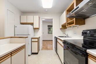 24 Braddock Park in Boston, MA - Building Photo - Building Photo