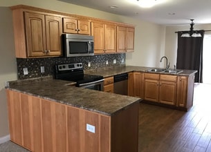 2016 Macon St in Mahomet, IL - Building Photo - Building Photo