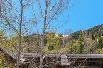 121 W Hyman Ave in Aspen, CO - Building Photo - Building Photo