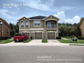 9038 Moonlit Meadows Loop in Riverview, FL - Building Photo