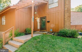11965 Greywing Ct in Reston, VA - Building Photo
