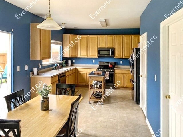 3902 Scotsmoore Dr in Fort Collins, CO - Building Photo - Building Photo
