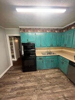 204 W 5th St in Vidalia, GA - Building Photo