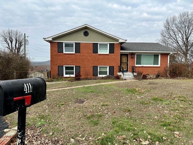property at 411 Starliner Ct
