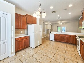 204 Patrice Hope St in Leesburg, FL - Foto de edificio - Building Photo
