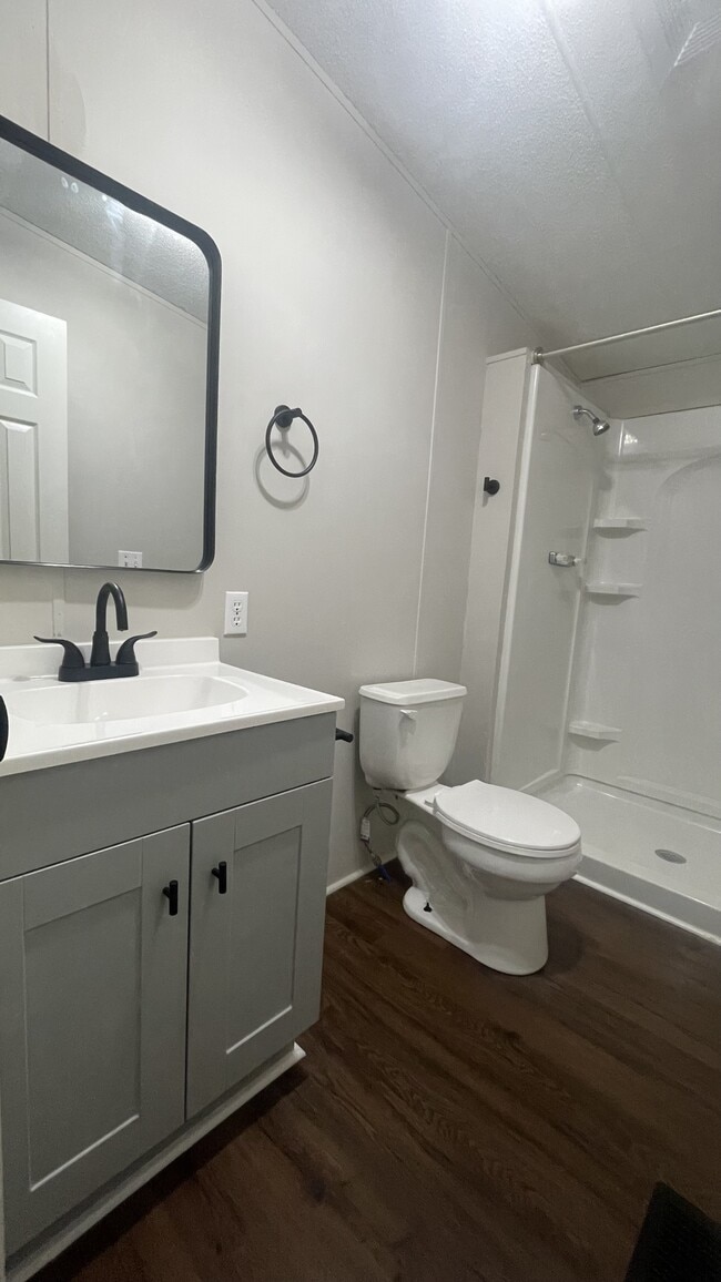 1518 Lee County Rd 270 in Cusseta, AL - Building Photo - Building Photo