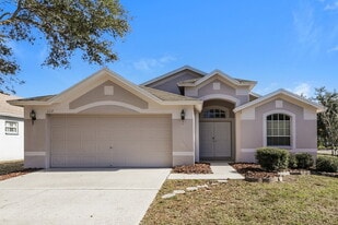 1217 Barclay Wood Dr in Ruskin, FL - Building Photo