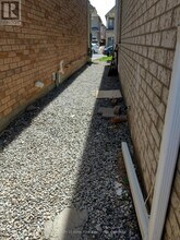 48 Muscovy Dr in Brampton, ON - Building Photo - Building Photo