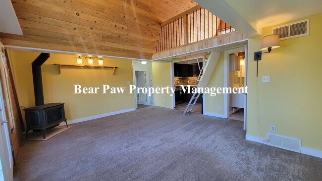 26 Badger Ln in Bailey, CO - Building Photo - Building Photo