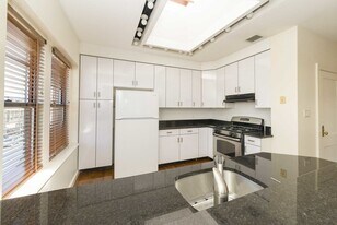 344 Harvard St, Unit 3 in Brookline, MA - Building Photo