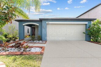 10208 Carloway Hills Dr in Wimauma, FL - Building Photo - Building Photo