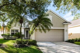 18109 Ashton Park Way in Tampa, FL - Building Photo