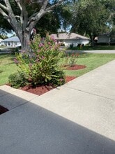 6126 SW 84th Place Rd in Ocala, FL - Building Photo - Building Photo