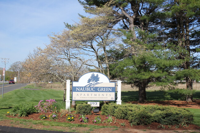 Naubuc Green Apartments in Glastonbury, CT - Foto de edificio - Building Photo